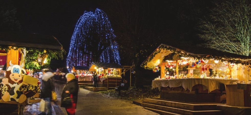 Foto di "Visit Levico Terme" Le luci del grande faggio strappate dai soliti ragazzini, il sindaco